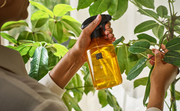 Woman spraying a large green houseplant with a repurposed Rituals home perfume spray bottle filled with water.